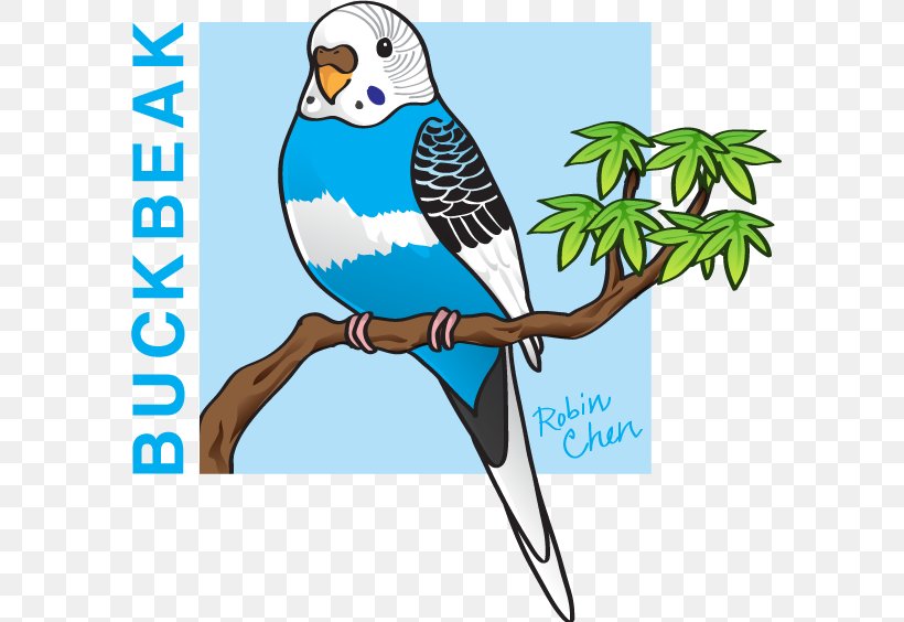 Artist Macaw DeviantArt Feather, PNG, 598x564px, Art, Artist, Beak, Bird, Buckbeak Download Free