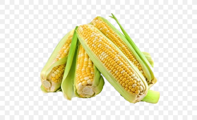 Candy Corn Maize Corn Kernel Sweet Corn Corncob, PNG, 626x500px, Candy Corn, Commodity, Corn Kernel, Corn Kernels, Corn On The Cob Download Free