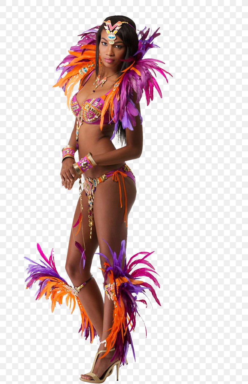 Carnival In Rio De Janeiro Costume Woman, PNG, 820x1269px, Carnival, Backpack, Bra, Carnival In Rio De Janeiro, Clothing Download Free