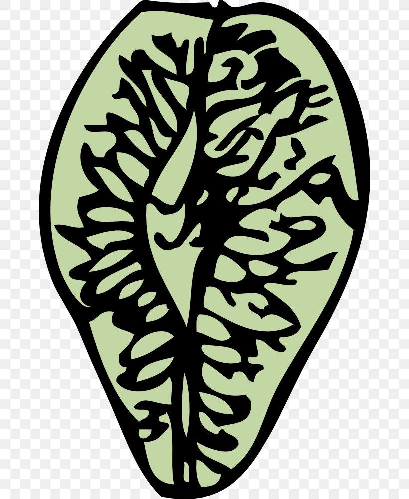 Elm Seed Conifer Cone Clip Art, PNG, 664x1000px, Watercolor, Cartoon, Flower, Frame, Heart Download Free