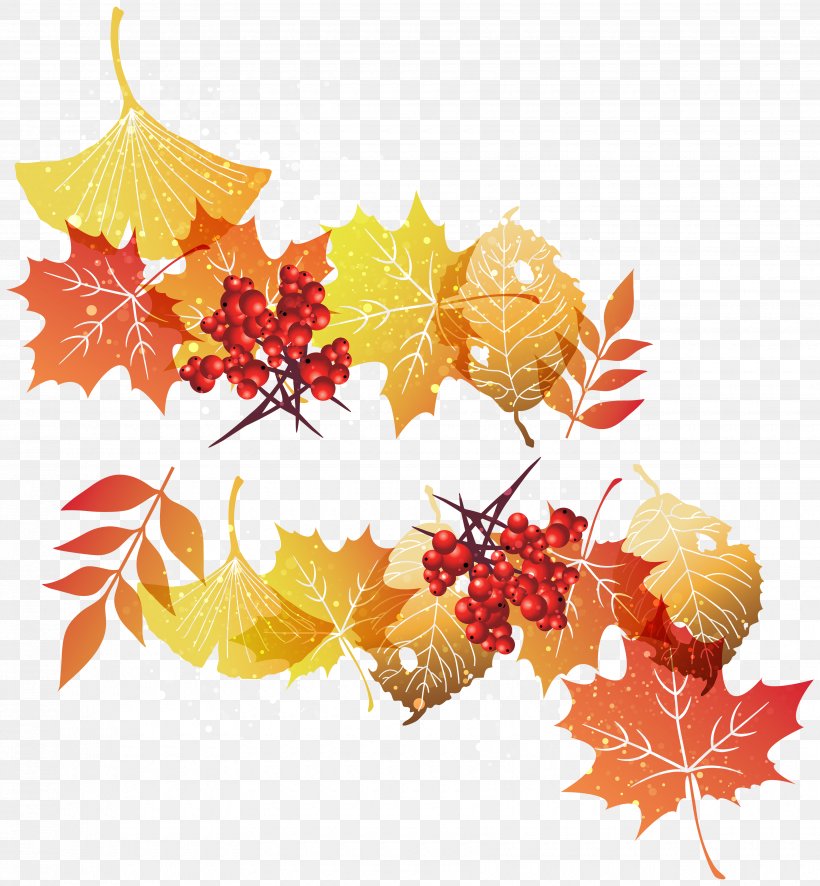 Leaf Graphics Clip Art, PNG, 3500x3785px, Leaf, Autumn Leaf Color, Branch, Floral Design, Flower Download Free