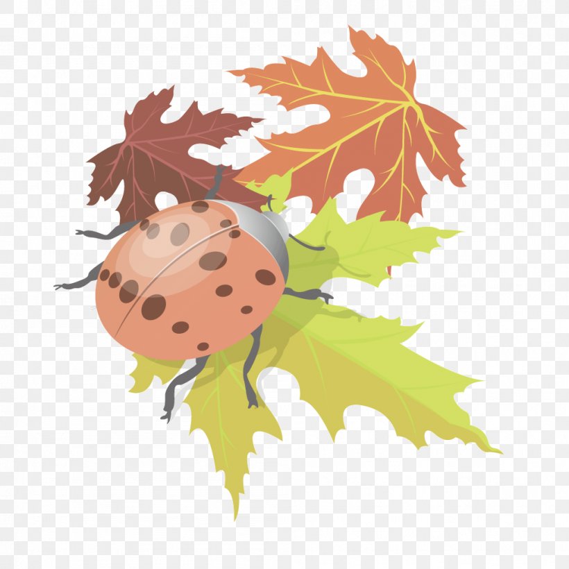 Maple Leaf Clip Art, PNG, 1001x1001px, Maple Leaf, Adobe Flash Player, Flowering Plant, Fruit, Leaf Download Free