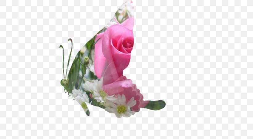 Garden Roses Cabbage Rose Cut Flowers Mat Floral Design, PNG, 600x450px, Garden Roses, Artificial Flower, Bathroom, Cabbage Rose, Carpet Download Free
