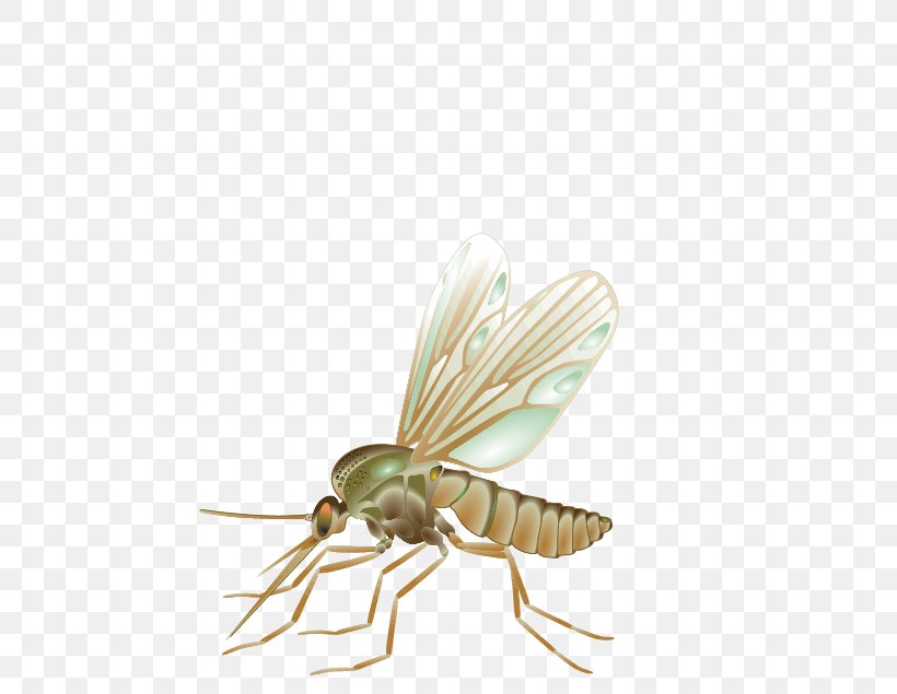 Mosquito Fly Vector Insect, PNG, 457x635px, Insect, Arthropod, Drawing, Fly, Invertebrate Download Free