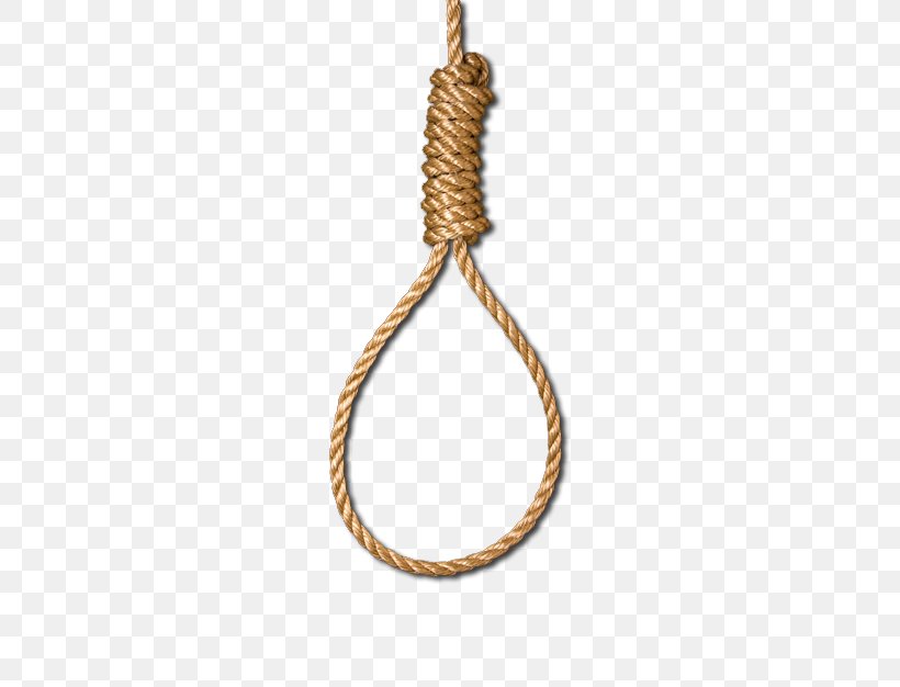 Noose Hangman's Knot Rope Clip Art, PNG, 419x626px, Noose, Capital Punishment, Chain, Gallows, Hanging Download Free