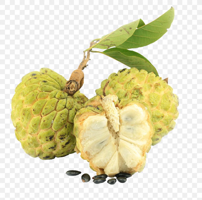 Sugar-apple Soursop Tea Fruit Sugar Apple, PNG, 849x838px, Sugarapple, Annona, Apple, Cherimoya, Custardapple Download Free