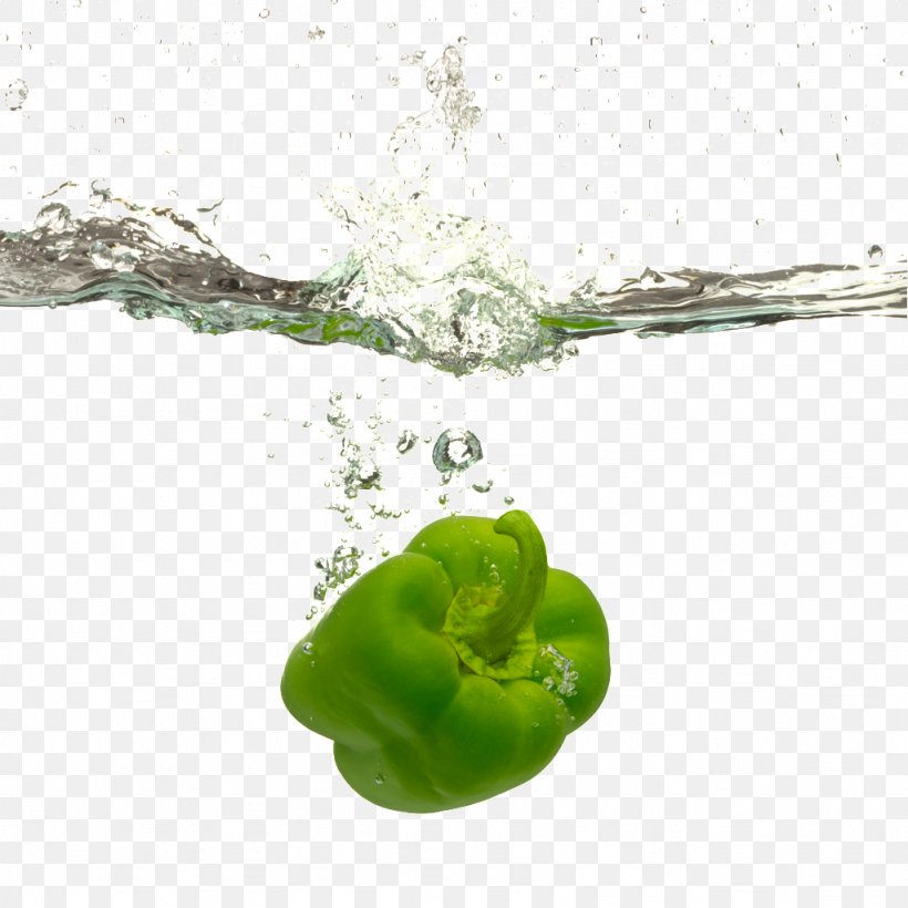 Bell Pepper Water Vegetable Food Recipe, PNG, 1024x1024px, Bell Pepper, Amphibian, Capsicum, Capsicum Annuum, Chili Pepper Download Free