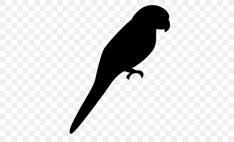 Bird Silhouette, PNG, 500x500px, Parrot, Beak, Bird, Budgerigar, Domestic Canary Download Free