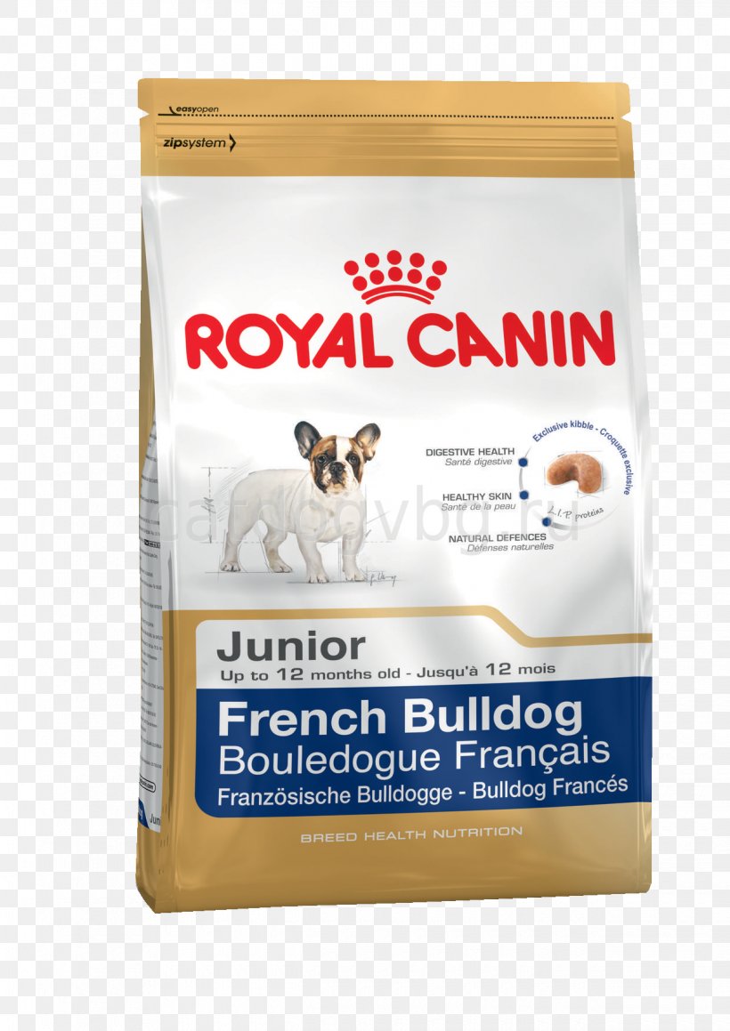 Chihuahua French Bulldog Puppy Royal Canin, PNG, 1240x1754px, Chihuahua, Bulldog, Bulldog Breeds, Dog, Dog Food Download Free