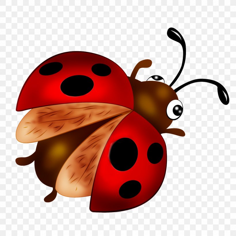 Coccinella Septempunctata Insect Desktop Wallpaper Clip Art, PNG, 1080x1080px, Coccinella Septempunctata, Beetle, Coccinella, Digital Image, Food Download Free