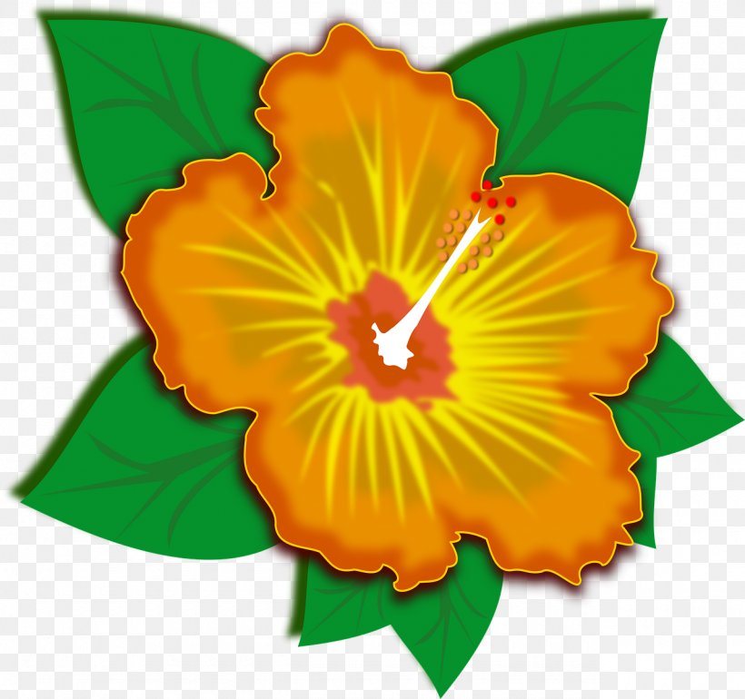 Flower Clip Art, PNG, 1280x1202px, Flower, Art, Flowering Plant, Hibiscus, Mallow Family Download Free