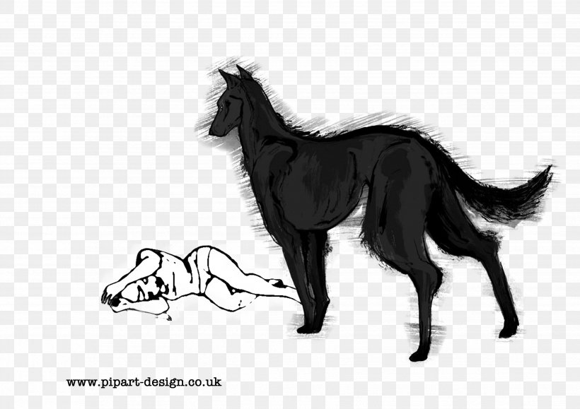 Dog Mustang Pony Foal Stallion, PNG, 3508x2480px, Dog, Artwork, Black And White, Bridle, Camel Download Free
