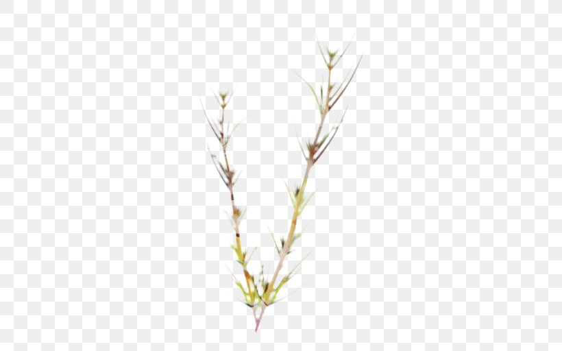 Family Tree Background, PNG, 512x512px, Twig, American Larch, Branch, Elymus Repens, Flower Download Free