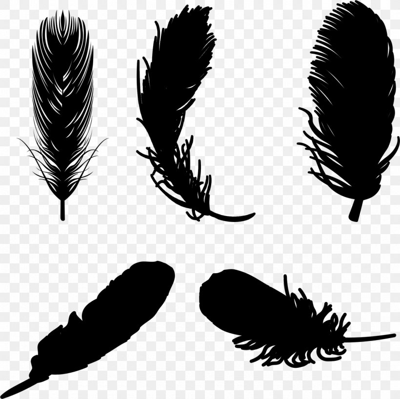 Feather Eyebrow Vector Graphics, PNG, 1280x1278px, Feather, Eye, Eyebrow, Eyelash, Fashion Accessory Download Free