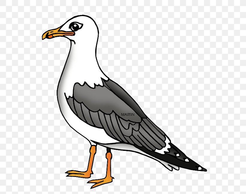 Gulls Drawing Clip Art, PNG, 594x648px, Gulls, Animation, Artwork, Beak, Bird Download Free