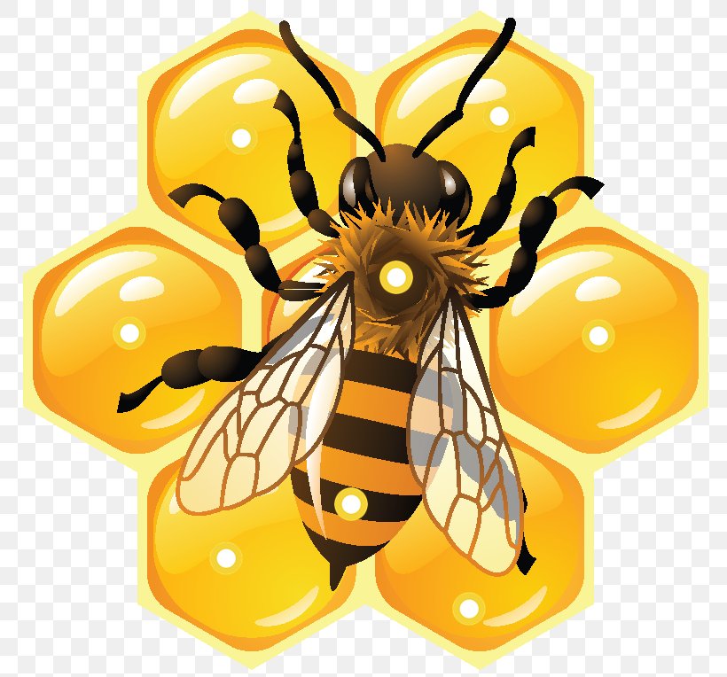 Honey Bee Beehive Social Media, PNG, 800x764px, Bee, Arthropod, Beehive, Beekeeping, Butterfly Download Free