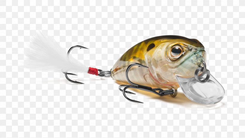 Spoon Lure Insect Fish AC Power Plugs And Sockets, PNG, 2000x1125px, Spoon Lure, Ac Power Plugs And Sockets, Bait, Fish, Fishing Bait Download Free