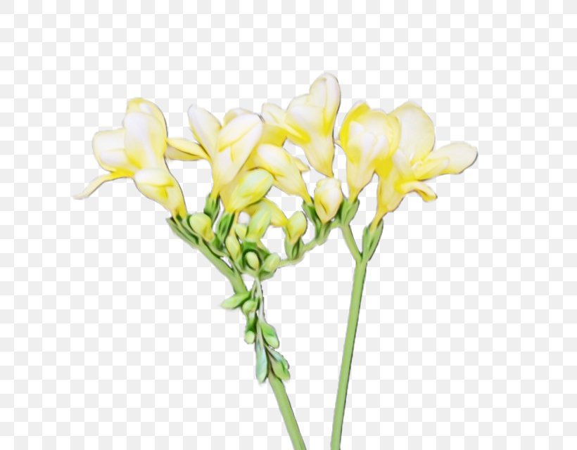 Artificial Flower, PNG, 640x640px, Watercolor, Artificial Flower, Cut Flowers, Flower, Flowering Plant Download Free