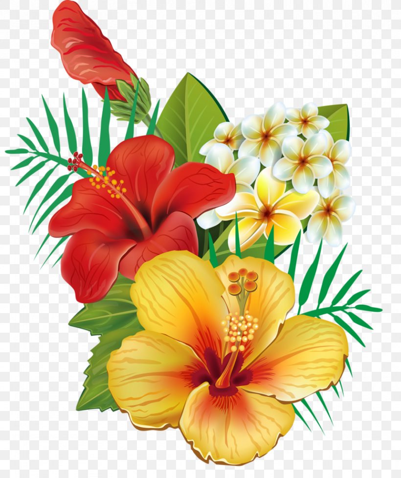 Flower Clip Art, PNG, 859x1024px, Flower, Alstroemeriaceae, Annual Plant, Art, Cut Flowers Download Free