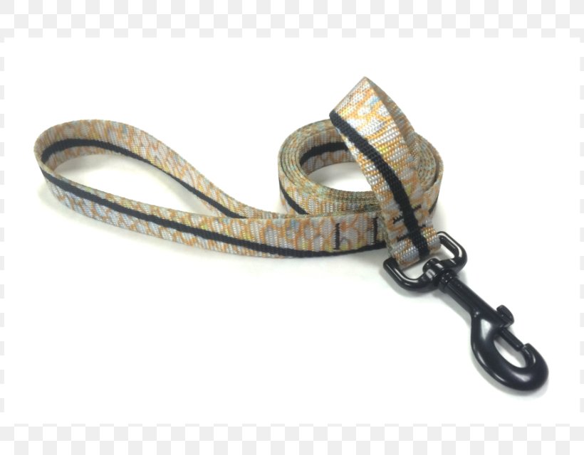 Leash Reptile Dog Belt Metal, PNG, 810x640px, Leash, Belt, Dog, Fashion Accessory, Metal Download Free