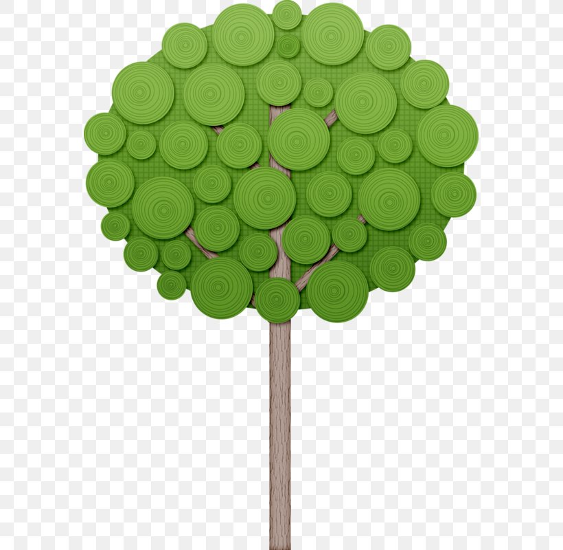 Tree Shrub Drawing Clip Art, PNG, 575x800px, Tree, Arecaceae, Branch, Drawing, Green Download Free