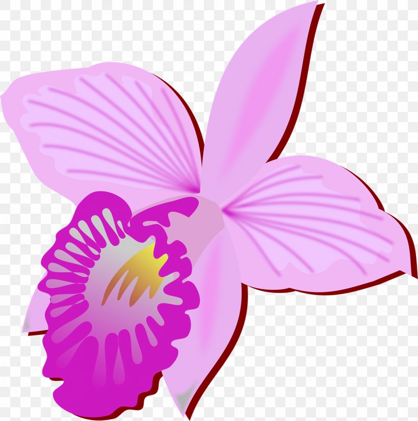 Clip Art Openclipart Free Content Vector Graphics, PNG, 1268x1280px, Bamboo Orchid, Cattleya, Copyright, Cut Flowers, Drawing Download Free