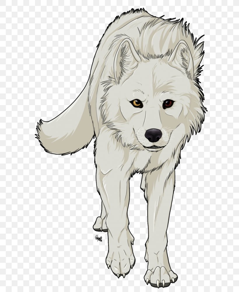 Gray Wolf Cartoon Drawing Jackal, PNG, 638x1000px, Gray Wolf, Animal, Art, Carnivoran, Cartoon Download Free
