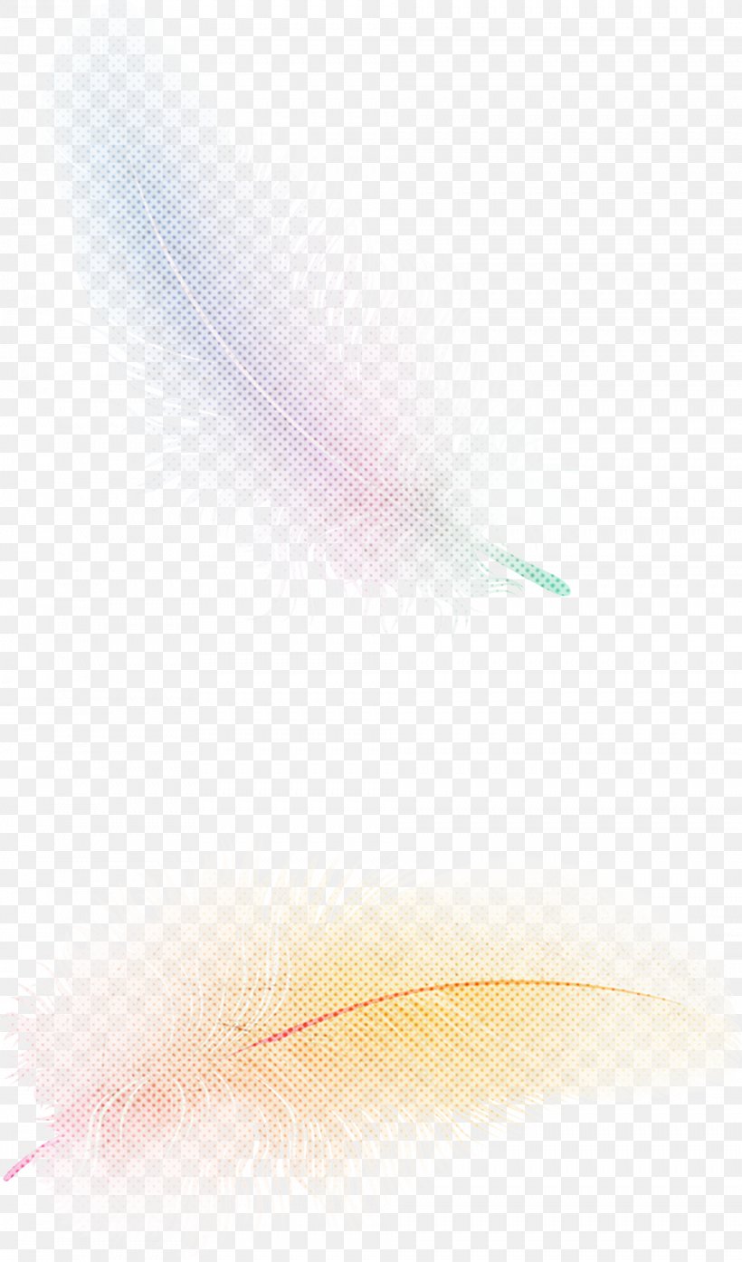 Feather, PNG, 1927x3278px, White, Feather, Pink, Sky, Yellow Download Free