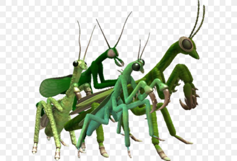 Mantis Spore Creatures Spore Creature Creator Spore: Galactic Adventures Spore Hero, PNG, 600x559px, Mantis, Arthropod, Bulbapedia, Insect, Invertebrate Download Free
