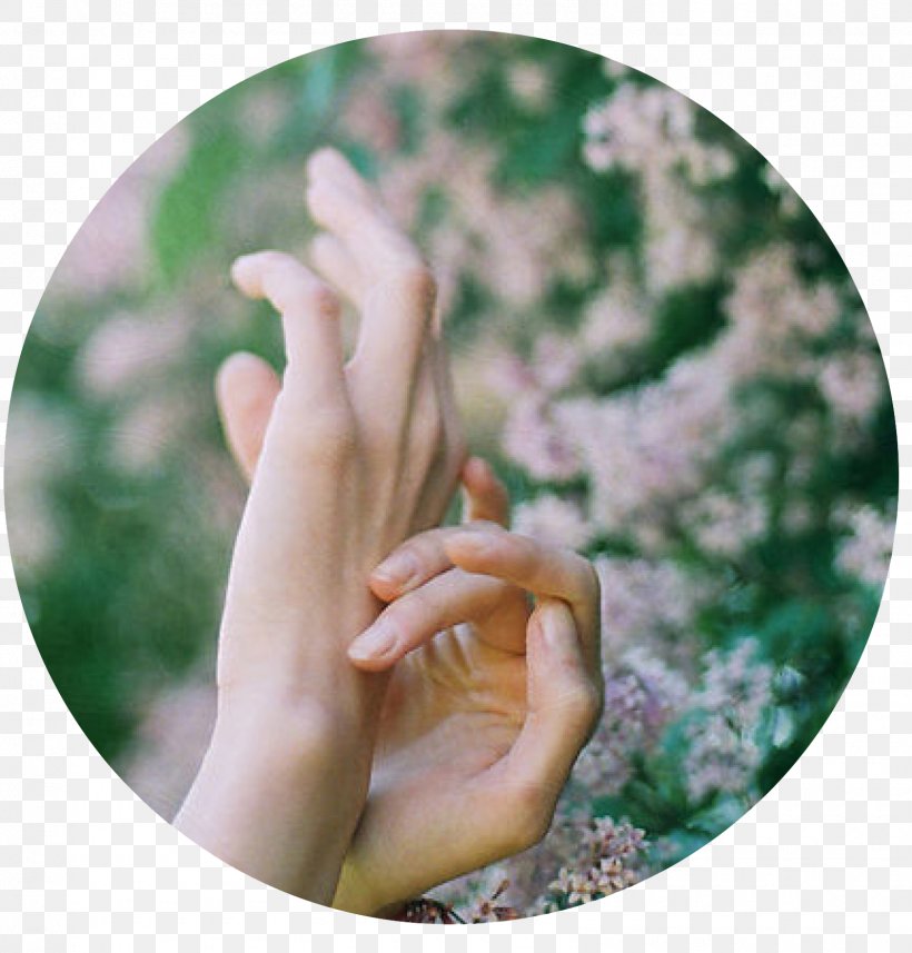 Thumb, PNG, 1595x1667px, Thumb, Finger, Grass, Hand, Tree Download Free