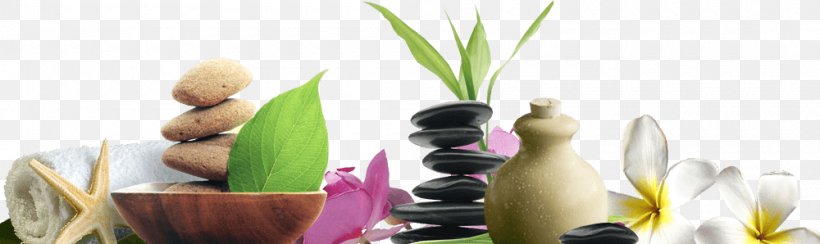 Stone Massage Day Spa Spa Dior, PNG, 1000x298px, Massage, Banana, Beauty Parlour, Day Spa, Drinkware Download Free