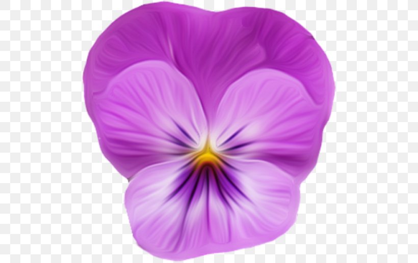 Violet Clip Art, PNG, 500x517px, Violet, Flower, Flowering Plant, Image Editing, Lofter Download Free