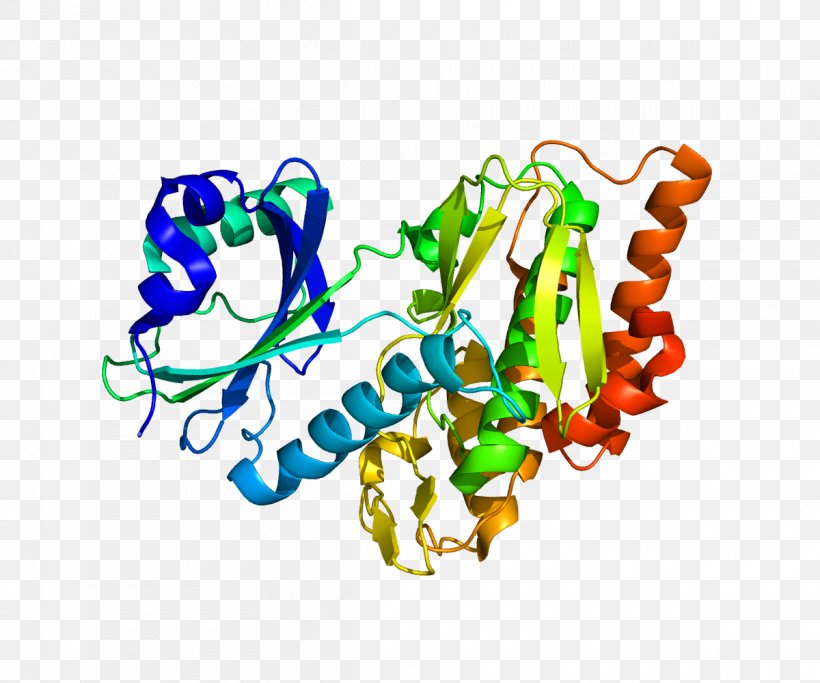 Histone H1 Histone Code Nucleosome Wikipedia, PNG, 1200x1000px, Watercolor, Cartoon, Flower, Frame, Heart Download Free