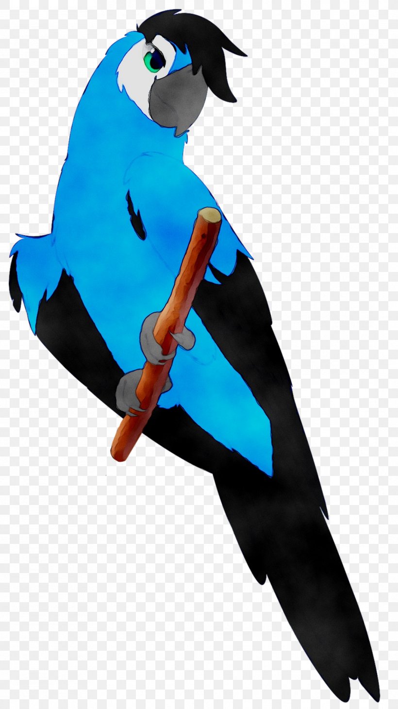 Macaw Parakeet Pet Feather Beak, PNG, 1089x1939px, Macaw, Beak, Bird, Blue, Cobalt Download Free