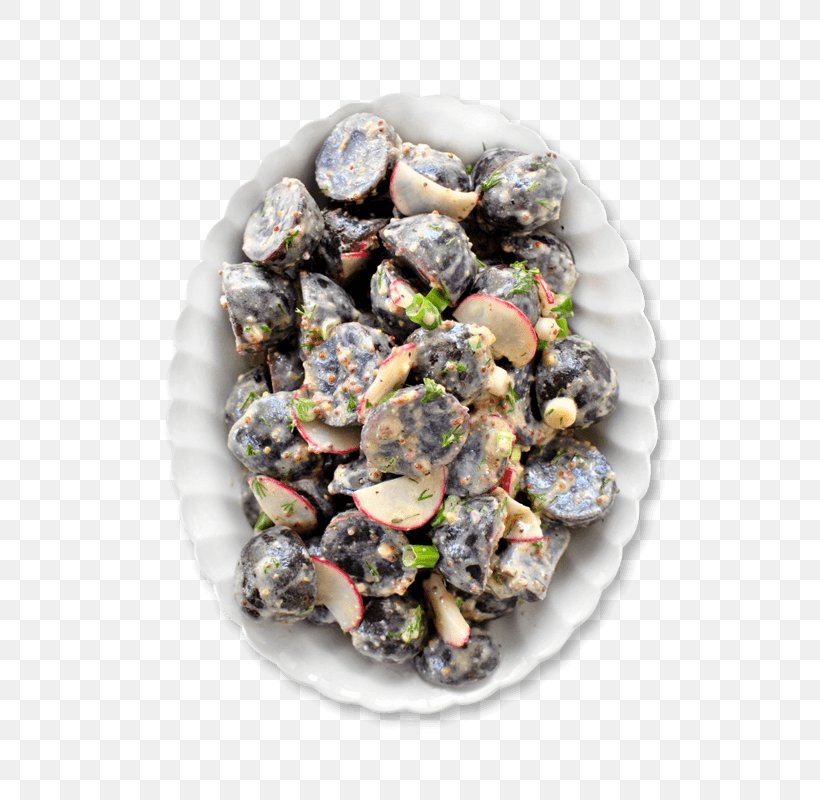 Pasta Salad Potato Salad Clam Mussel Oyster, PNG, 554x800px, Pasta Salad, Animal Source Foods, Clam, Clams Oysters Mussels And Scallops, Cockle Download Free