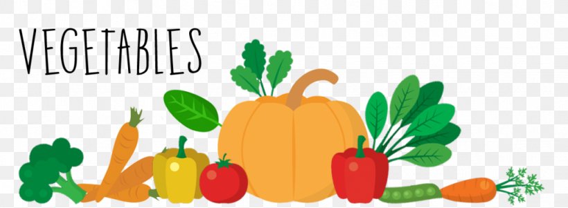 Pumpkin Smoothie Vegetarian Cuisine Food Nutrient, PNG, 1024x376px, Pumpkin, Flower, Food, Fruit, Health Download Free