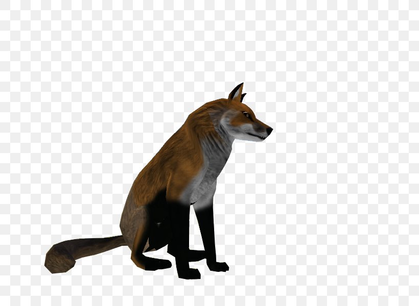 Red Fox Fur Snout Wildlife Fox News, PNG, 800x600px, Red Fox, Carnivoran, Dog Like Mammal, Fox, Fox News Download Free