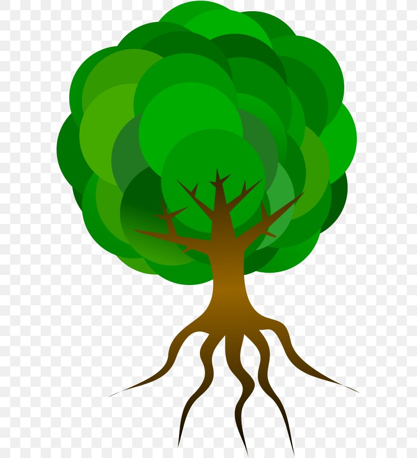 Tree Root Clip Art, PNG, 599x900px, Tree, Branch, Cartoon, Drawing, Fictional Character Download Free