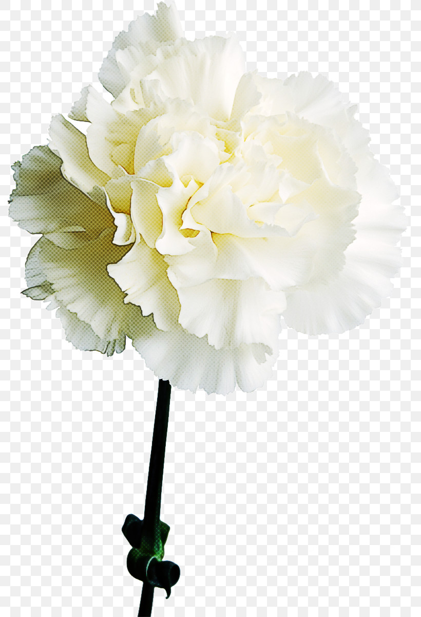 Artificial Flower, PNG, 789x1200px, Cut Flowers, Artificial Flower, Bouquet, Carnation, Chinese Peony Download Free