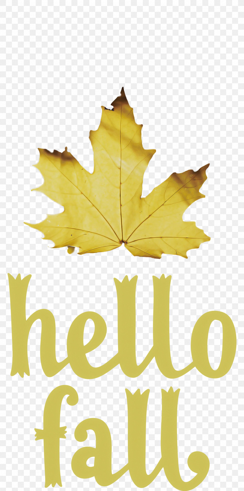Hello Fall Fall Autumn, PNG, 1490x3000px, Hello Fall, Autumn, Biology, Fall, Flower Download Free