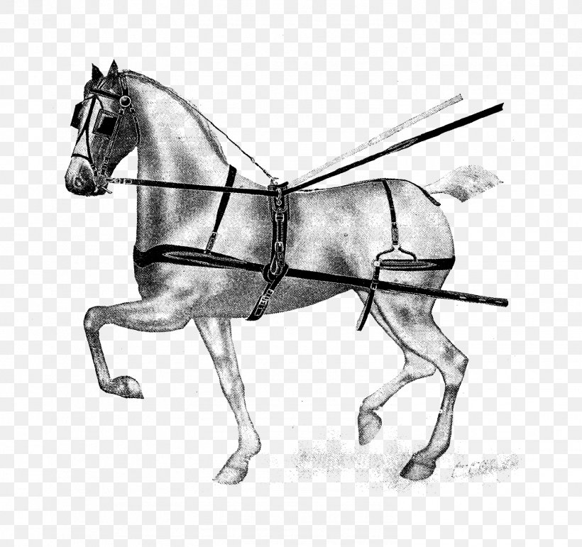 Horse Mule Pony Bridle Rein, PNG, 1492x1403px, Horse, Art, Bit, Black And White, Bridle Download Free