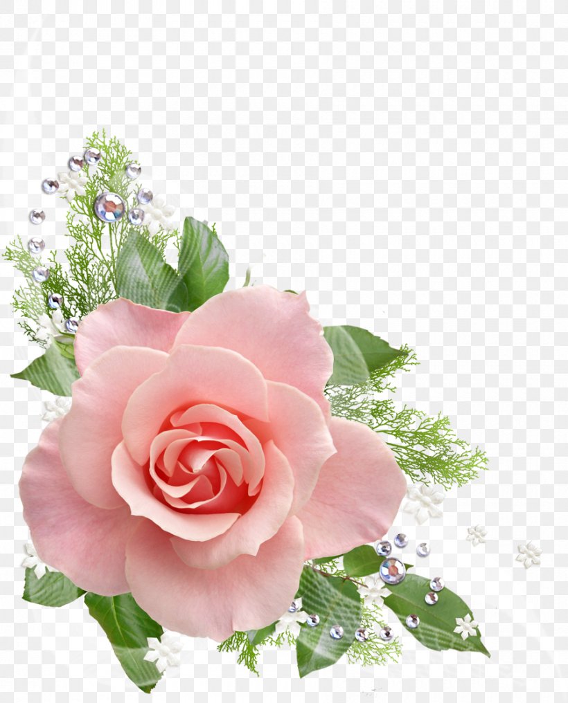 Pink Flower Clip Art, PNG, 900x1116px, Pink, Centifolia Roses, Cut Flowers, Floral Design, Floribunda Download Free
