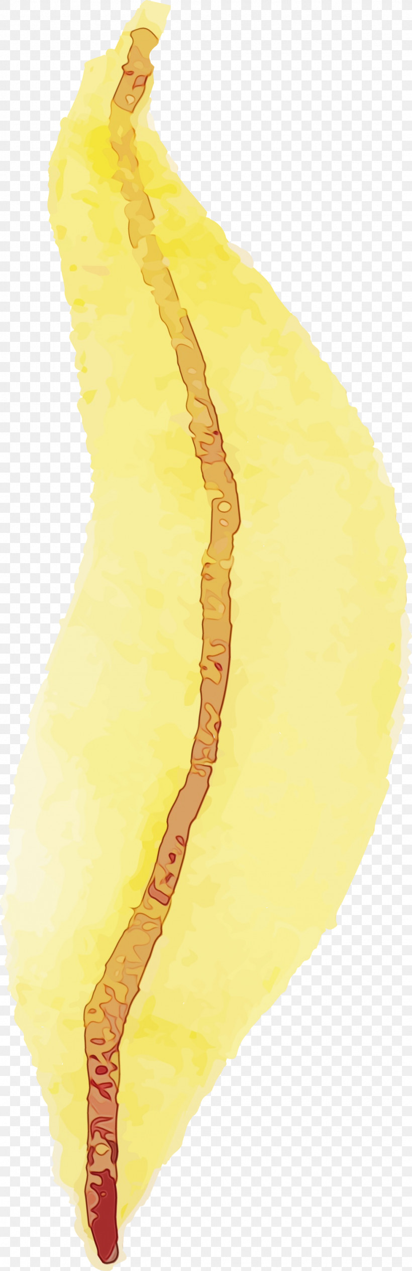 Yellow Biology Science, PNG, 973x3000px, Watercolor Autumn, Biology, Paint, Science, Watercolor Download Free