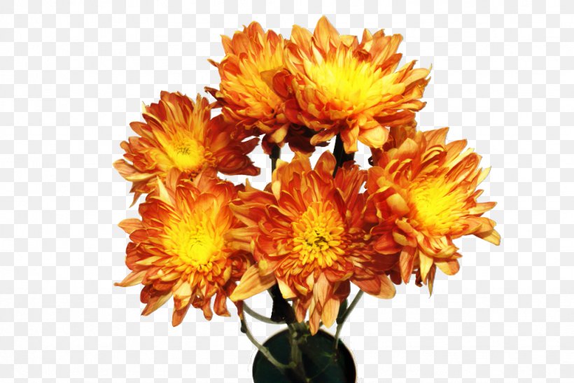 Chrysanthemum Floral Design Cut Flowers Yellow, PNG, 1023x683px, Chrysanthemum, Artificial Flower, Bouquet, Chrysanths, Cut Flowers Download Free