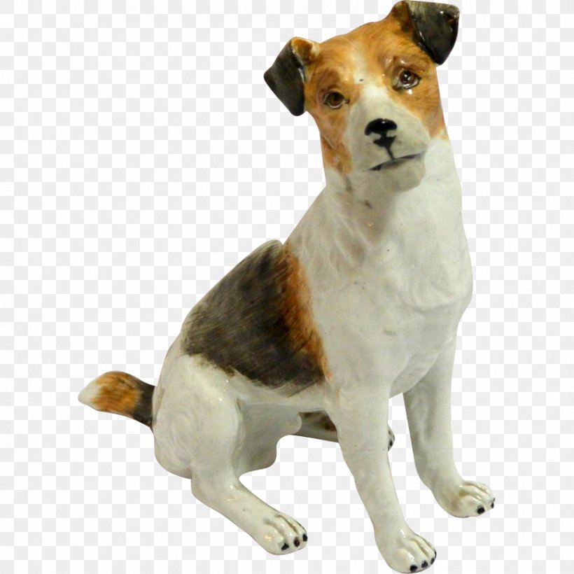Dog Breed Jack Russell Terrier English Foxhound, PNG, 866x866px, Dog Breed, Breed, Breed Group Dog, Carnivoran, Companion Dog Download Free