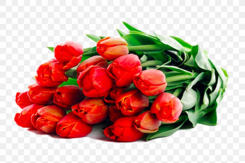 Flower Bouquet Tulip Garden Roses Wedding, PNG, 1000x667px, Flower Bouquet, Cut Flowers, Floristry, Flower, Flowering Plant Download Free