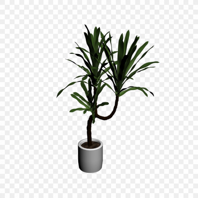 Houseplant Tree Flowerpot Room, PNG, 1000x1000px, Houseplant, Arecaceae, Arecales, Bedroom, Branch Download Free