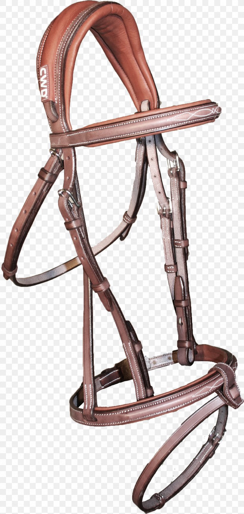 Bridle Leather Anatomy Tanning, PNG, 1299x2732px, Bridle, Anatomy, Chair, Horse Tack, Jacket Download Free