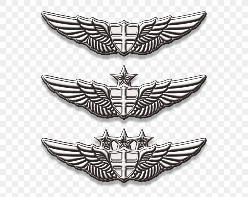 Emblem Badge, PNG, 3127x2490px, Emblem, Badge, Symbol, Wing Download Free