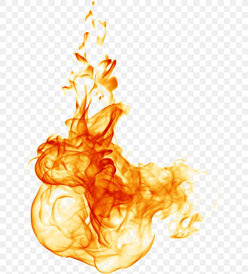 Flame Fire Image Illustration Shutterstock, PNG, 640x908px, Watercolor ...